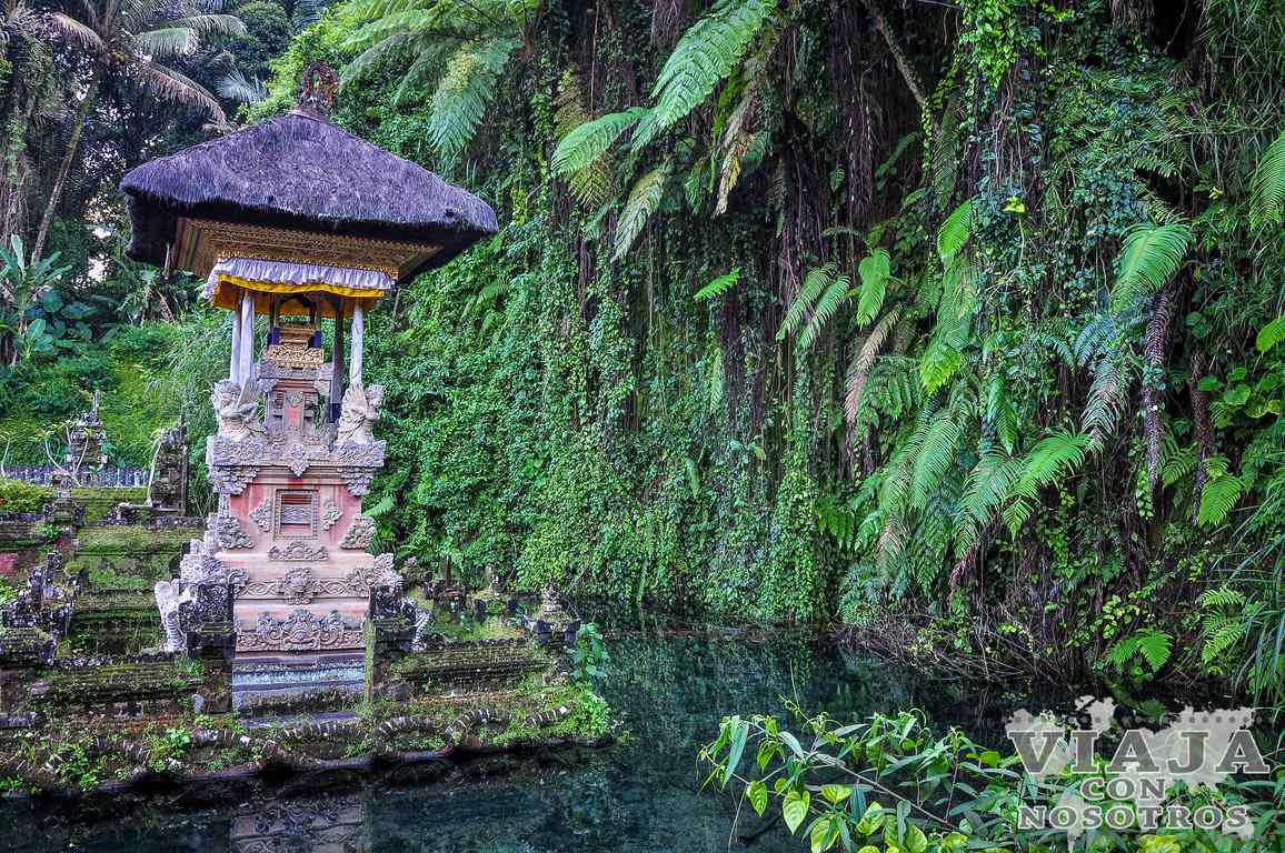 Consejos para viajar a Bali