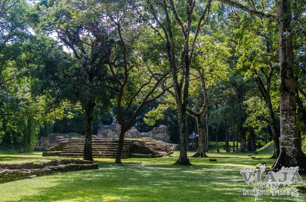 Todas las ruinas Mayas de Palenque