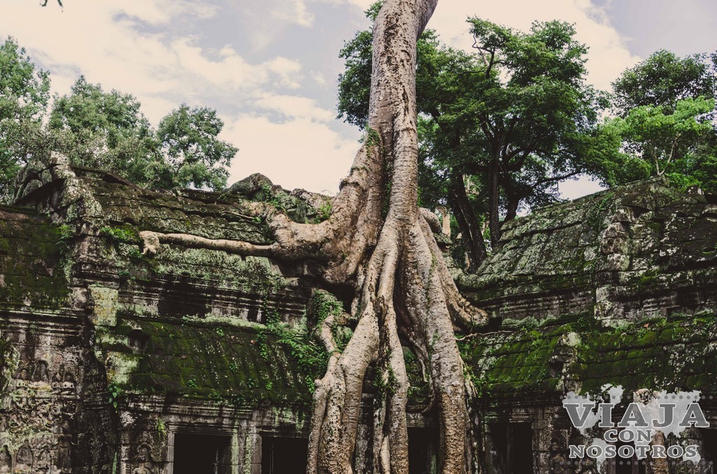 Lugares menos turísticos de Siem Reap