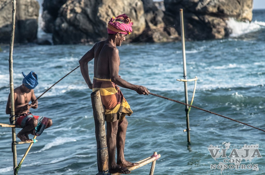 Stilt Fishermen Sri Lanka