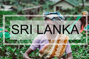 Que ver en Sri Lanka