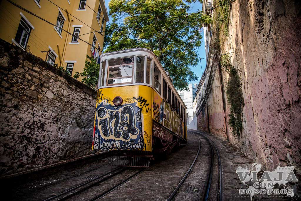 Donde hacer las mejores fotografías de Elevadores de Lisboa