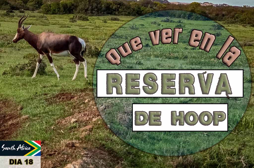 Que ver en la Reserva Natural De Hoop