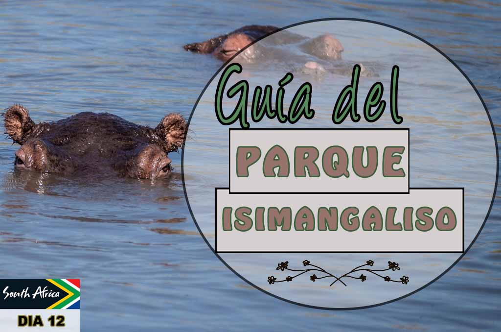 Guía para visitar el Parque Isimangaliso