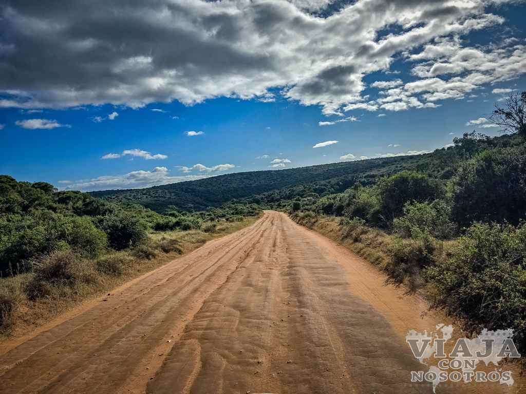 sudafrica_movil (315)