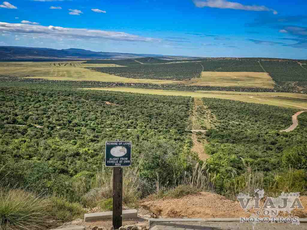 sudafrica_movil (323)