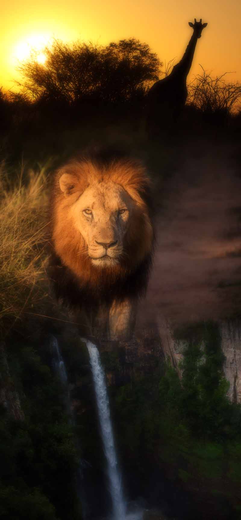 itinerario-sudafrica